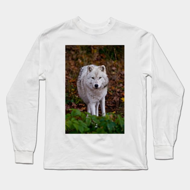 Arctic Wolf Long Sleeve T-Shirt by jaydee1400